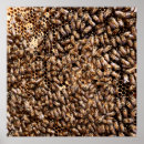 Suche nach beehive poster Bienenstock