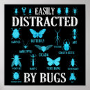 Suche nach entomologe poster Schmetterling