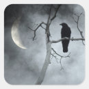 Suche nach crow aufkleber Vogelvogel