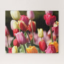 Suche nach rote tulpen puzzle Quelle