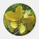 Suche nach duschen magnete Blume