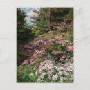 Suche nach rosa rhododendron postkarten Rhododendren