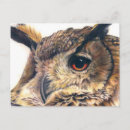 Suche nach adlereule Vogel