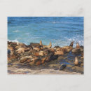 Suche nach la jolla san diego postkarten Natur