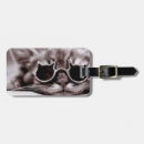 Suche nach eine coole katze gepäckanhänger Sonnenbrille