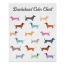 Suche nach lustige dackel poster Niedlich