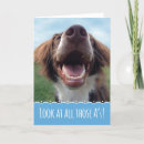 Suche nach reporter karten Hund