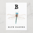 Suche nach blaue libelle postkarten Aquarell