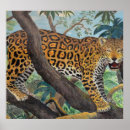 Suche nach dschungel poster Jaguar