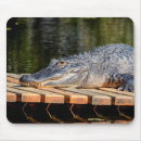 Suche nach amphibie mousepads Wasser
