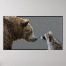 Suche nach waschbären poster Wild lebende tiere