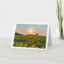 Suche nach feld karten Sonnenblumen