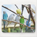 Suche nach papageien mousepads Tiere