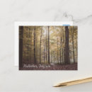 Suche nach herbstbaum Wald