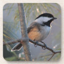 Suche nach bedeckt untersetzer Chickadee