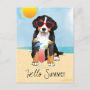 Suche nach berner sennenhund postkarten Welpe