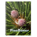 Suche nach kegel kleine notizbücher Grün