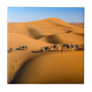 Suche nach kamel fliesen Wüste