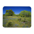 Suche nach niedrig magnete Natur