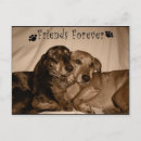 Suche nach freunde für immer postkarten Hunde
