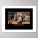 Suche nach labrador retriever poster Tiere