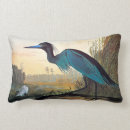Suche nach audubon John james audubon
