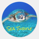 Suche nach seeleben aufkleber Meer