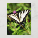 Suche nach papilio postkarten Schwarz