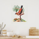 Suche nach tannenbaum poster Tier