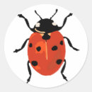 Suche nach ladybird aufkleber Käfer