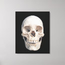 Suche nach menschlicher schädel leinwandbilder Biologie