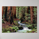 Suche nach digitale kunstplakate poster Natur