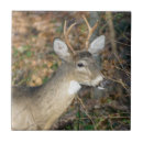 Suche nach jäger fliesen Tier