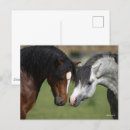 Suche nach bob postkarten Zusammen