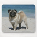 Suche nach kitz mousepads Hund