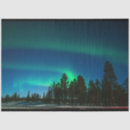 Suche nach borealis Aurora borealis