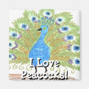 Suche nach peacock magnete Aquarell