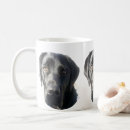 Suche nach labrador retriever tassen Hund
