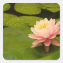 Suche nach tau aufkleber Natur