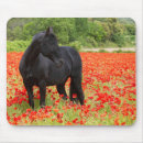 Suche nach schwarze pferde mousepads Natur