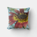 Suche nach sunflower kissen Sonnenblume