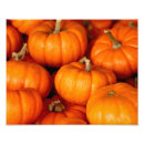 Suche nach obst und gemüse poster Kürbis