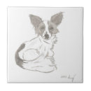 Suche nach papillon fliesen Welpe