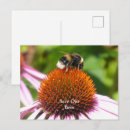 Suche nach bienen postkarten Insekt