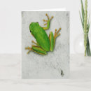 Suche nach für froschliebhaber karten Froschkarte