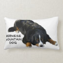 Suche nach bernese Hunde