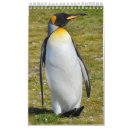 Suche nach pinguin kalender Niedlich