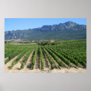 Suche nach rioja andere Wein