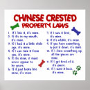 Suche nach chinesischer hund poster Hunde