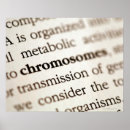 Suche nach chromosomen poster Biologie